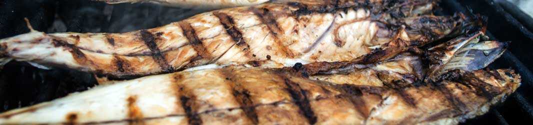 Seafood & Fish