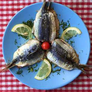 Grilled sardine fillet